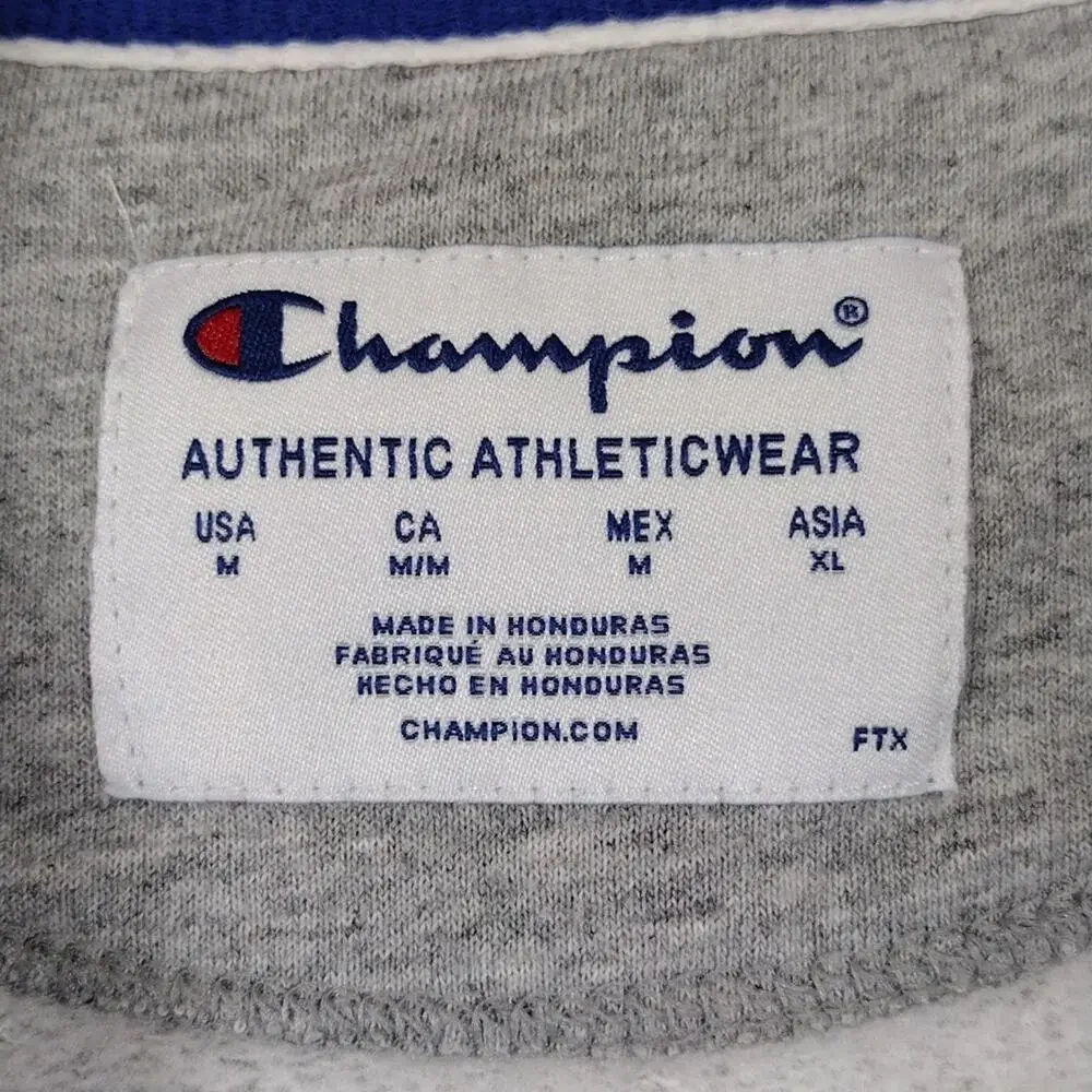 Champion Gray Sportswear Casual Crewneck Athleisure Pullover Loungewear Sweater